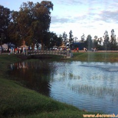 SHOW EN LA QUINTA MUNICIPAL